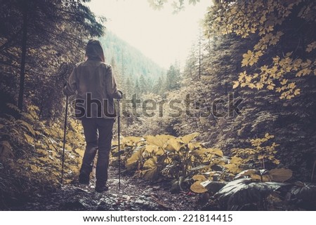 Woman with hiking equipment walking in mountain forest