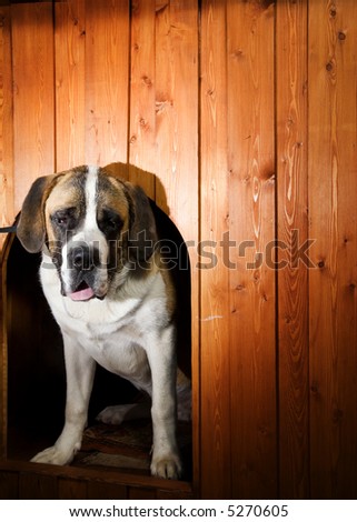 A Doghouse
