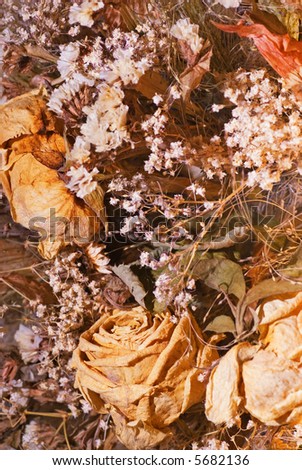 Dry flowers composition