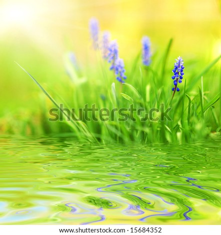 Purple flowers reflected in rendered water