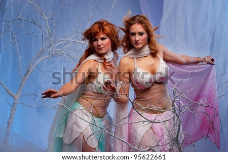 Elves in magical winter forest.