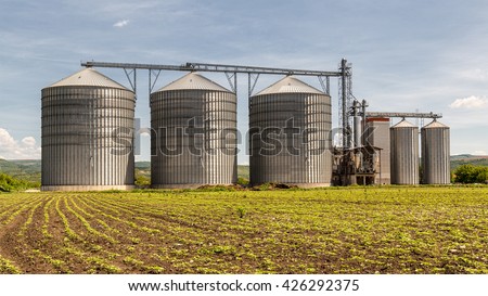 Grain silo and rape field