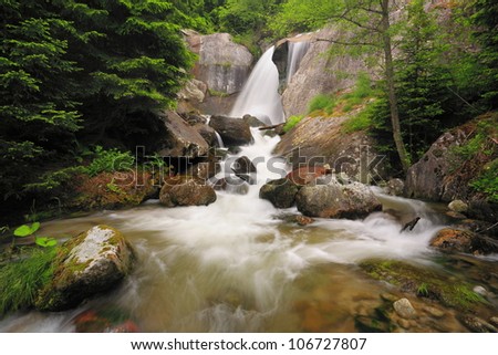 Waterfall and rushing river in a lush green forest