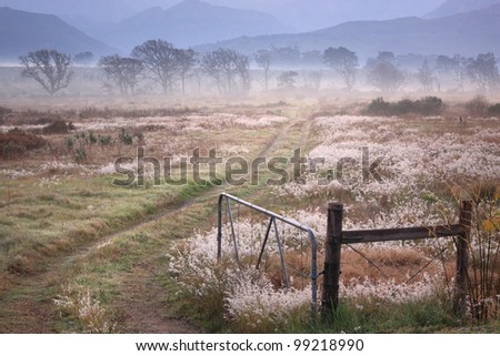 Farm track through misty farmland with open gate in foreground