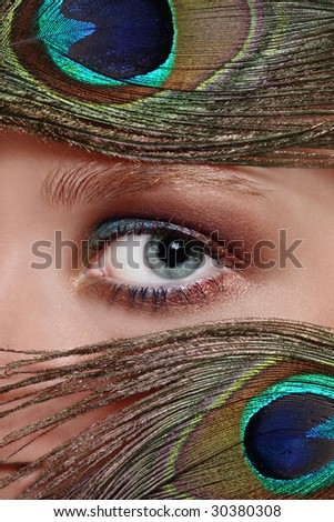 Macro shot of blue woman\'s eye in frame of peacock\'s feathers, selective focus