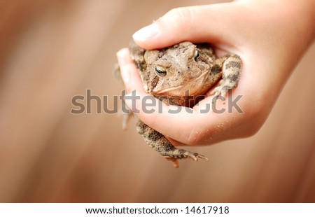 A young girl holding a toad