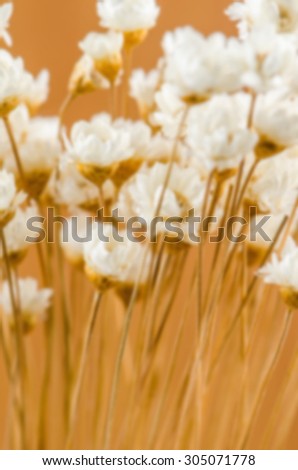 Blurred bouquet of dried flowers.