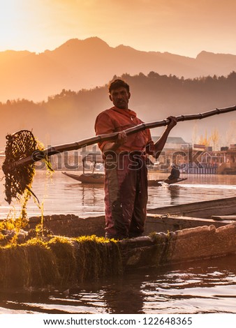 KASHMIR, INDIA-APRIL 10: Dal lake, the tourist attractive destination in northern India. People harvest algae underneath lake to use for floating agriculture on April 10, 2009 in Kashmir, India