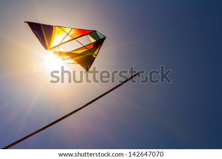Kite in the sunny sky