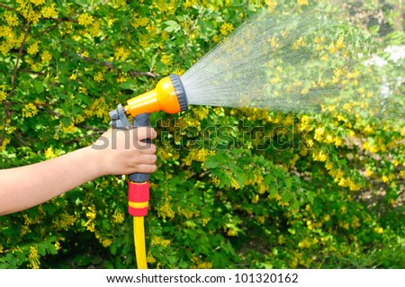 Watering the garden with a hose with a spray