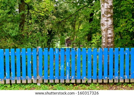 Blue fence in front of a garden