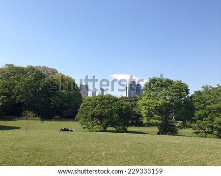 Concrete jungle surrounded by green trees/ Tokyo recreation park/ Peace of mind
