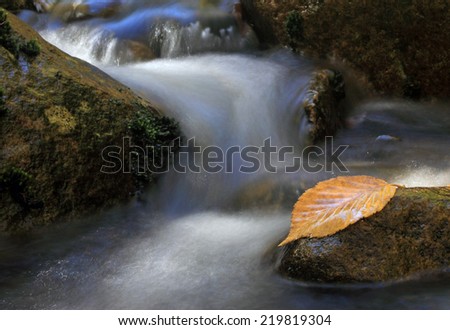 Autumn leaf on rock with water flowing through rocks along stream.