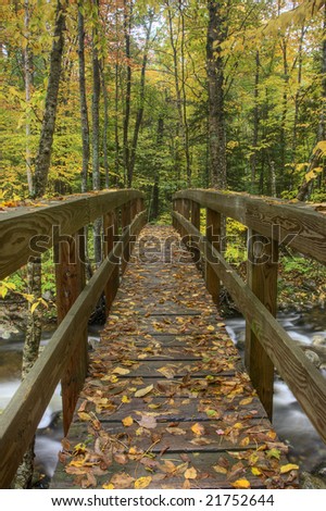 Walking bridge along Stoney brook hiking trail in the White Mountain National Forest in New Hampshire.