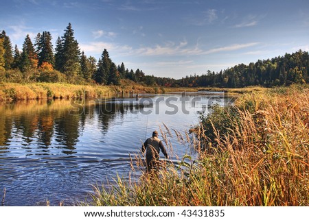 Fly fisherman wading down the Cains river in New Brunswick, Canada toward atlantic salmon holding pools.