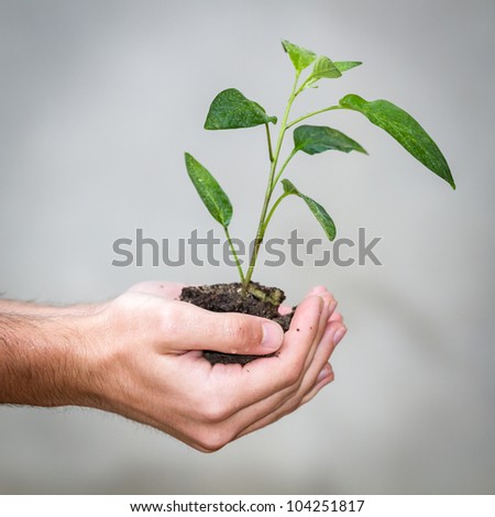 Hand holding plant seed