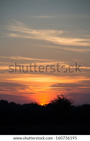 Colourful Sky and Forest Silhouette at Sunset.