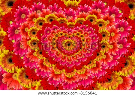 Composition from flowers on a white background