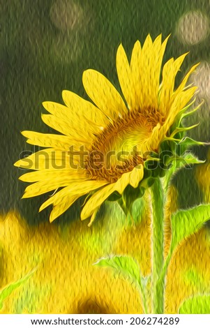 Sunflower, oil painting effect