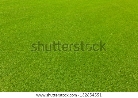 Green lawn grass for golf texture Green lawn grass for golf texture