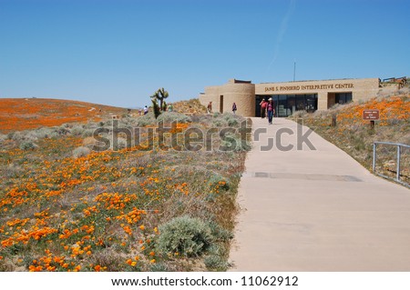 Antelope+valley+california+poppy+reserve