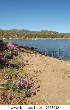 Lake shore path; Big Bear Lake, California