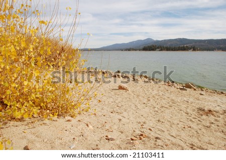 Lake shore in autumn; Big Bear Lake, California