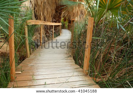 Wood path through oasis; Coachella Valley Preserve; Thousand Palms, California