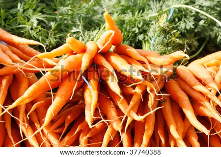 Orange carrots in a horizontal composition