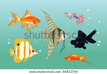 Illustration Set Of Isolated Cartoon Aquarium Fishes - 86852596
