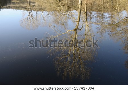 Small blue pond and tree reflections on water