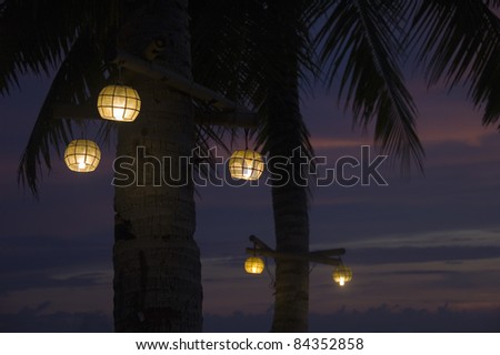 Lit lanterns in the coconut tree on the beach of Borracay
