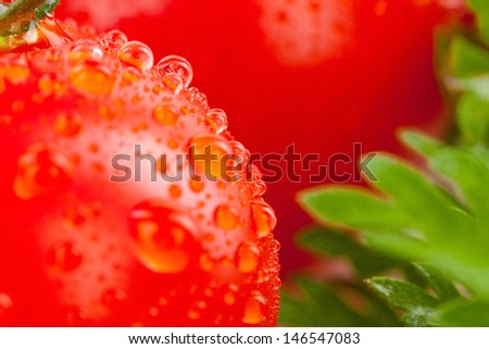 Fresh tomato with green leaf and drops of water isolated on white background