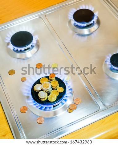 Blue flames of natural gas burning from a gas stove with euro coins