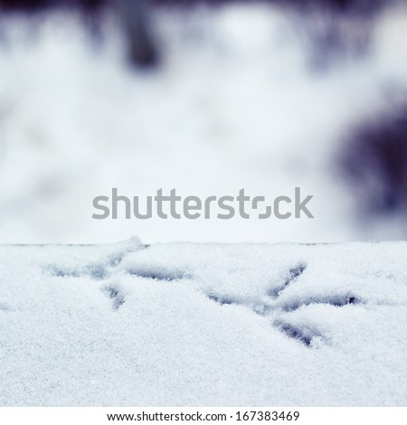 Bird\'s footprint in the snow with the blurry winter landscape underneath