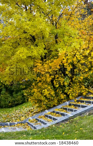 Autumn park background. Nature gold. \