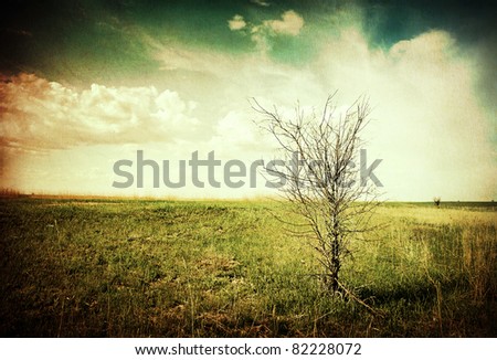 Drought. Lonely dead tree in a dry landscape. Stylized antique picture.