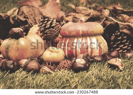 Autumn compilation, firm flesh, from typical autumn fruits