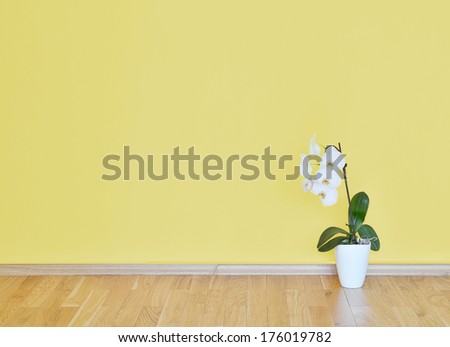 empty interior with wooden floor, flower and yellow wall