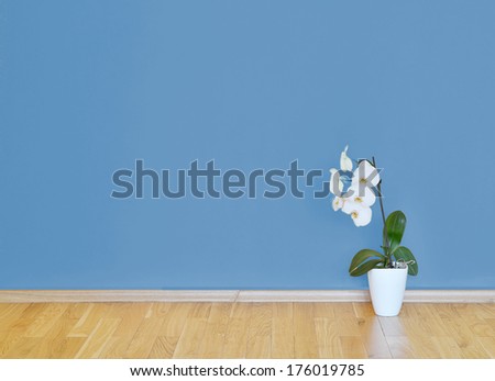 empty interior with wooden floor, flower and blue wall