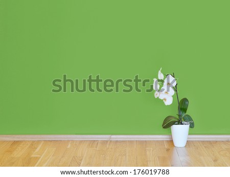 empty interior with wooden floor, flower and green wall