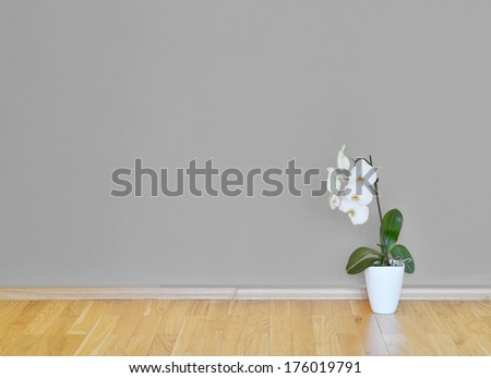 empty interior with wooden floor, flower and grey wall