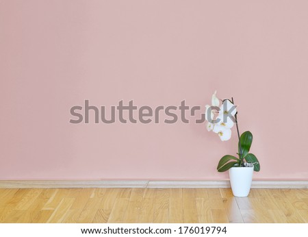 empty interior with wooden floor, flower and pale pink wall
