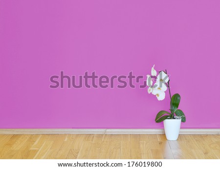 empty interior with wooden floor, flower and pink wall