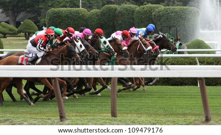 SARATOGA SPRINGS - JUL 20: A crowded field races on the turf in a maiden race on Jul 20, 2012 at Saratoga Race Course in Saratoga Springs, NY. Winner is Junior Alvarado (on rail) and Alwaysinmycircle.