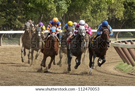 SARATOGA SPRINGS SEPT 1 Jose Lezcano blue and Bellamy Brew lead the field en route to victory in the 1st race at Saratoga Race Course on September 2 2012 in Saratoga Springs NY SARATOGA SPRINGS SEPT 1 Jose Lezcano blue and Bellamy Brew lead the field en route to victory in the 1st race at Saratoga Race Course on September 2 2012 in Saratoga Springs NY