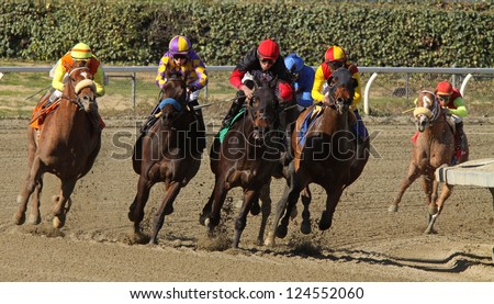 ARCADIA, CA - JAN 12: The field turns for home in an allowance race at Santa Anita Park on Jan 12, 2013 in Arcadia, CA. Eventual winner is \