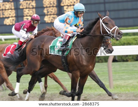 Fleet Indian, with Jose Santos Up, Wins the 2006 Personal Ensign Stakes at Saratoga Race Course