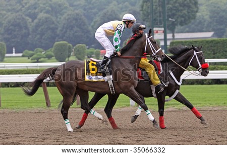 SARATOGA SPRINGS, NY - AUG 9: Fabulous Strike, under Ramon Dominguez, enters the track before winning the Alfred G. Vanderbilt Handicap at Saratoga Race Course August 9, 2009 in Saratoga Springs, NY.