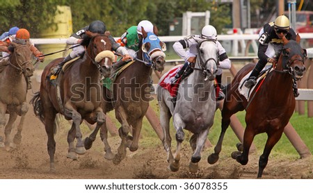 SARATOGA SPRINGS, NY - AUG 28: Thoroughbreds head down the stretch in the 6th race at Saratoga Race Course, Saratoga Springs, NY, on Aug 28, 2009. Eventual winner is Grasberg (Ramon Dominguez up, #6).